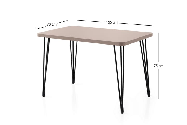 Ramila Ruokapöytä 120 cm Suorakulmainen - Ruskea - Huonekalut - Pöytä & ruokailuryhmä - Ruokapöydät & keittiön pöydät