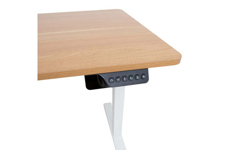 Työpöytä Ergo 1-moottorilla 120x60 cm Valkoinen/Tammi - Tietokonepöytä
 - Sähköpöytä & säädettävä työpöytä - Kirjoituspöytä - Kokoontaitettavat pöydät - Marmoripöydät