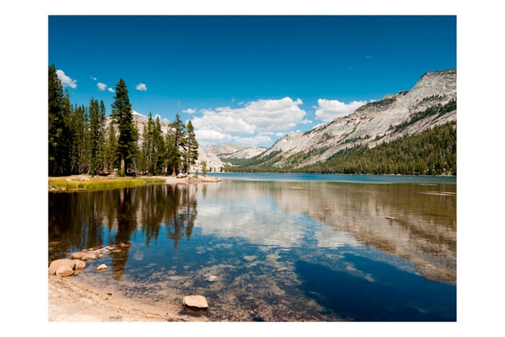 Seinämaalaus Tenaya Lake Yosemiten kansallispuisto 200x154 - Artgeist sp. z o. o. - Sisustustuotteet - Seinäkoristeet - Tapetit - Valokuvatapetit