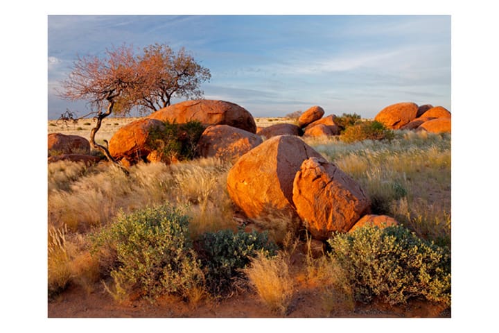 Valokuvatapetti Afrikkalainen maisema Namibia 200x154 - Artgeist sp. z o. o. - Sisustustuotteet - Seinäkoristeet - Tapetit - Valokuvatapetit