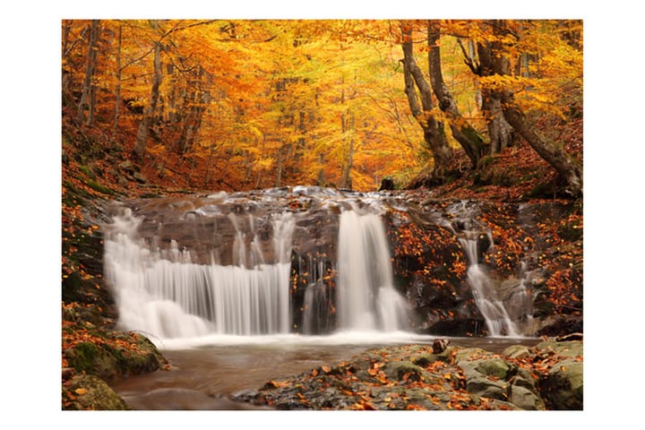 Valokuvatapetti Autumn Landskape Waterfall 350x270 - Artgeist sp. z o. o. - Sisustustuotteet - Seinäkoristeet - Tapetit - Valokuvatapetit