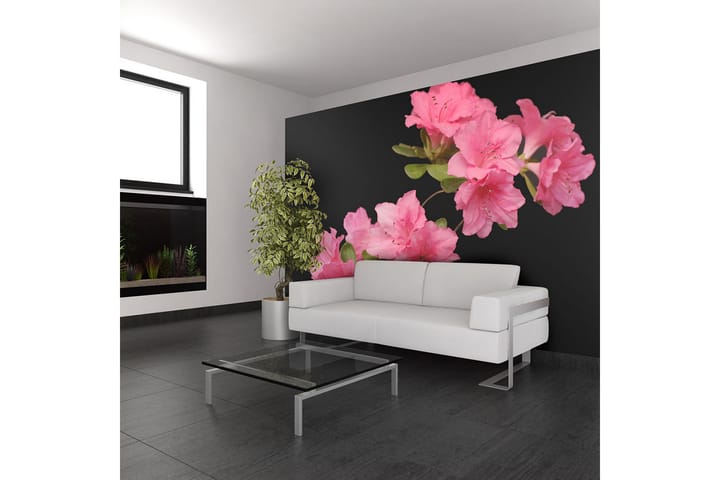 Valokuvatapetti Azalea In Black 300x231 - Artgeist sp. z o. o. - Sisustustuotteet - Seinäkoristeet - Tapetit - Valokuvatapetit