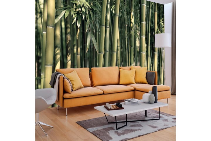 Valokuvatapetti Bamboo Exotic 100x70 - Artgeist sp. z o. o. - Sisustustuotteet - Seinäkoristeet - Tapetit - Valokuvatapetit