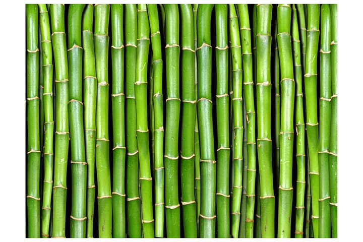 Valokuvatapetti Bamboo Wall 350x270 - Artgeist sp. z o. o. - Sisustustuotteet - Seinäkoristeet - Tapetit - Valokuvatapetit