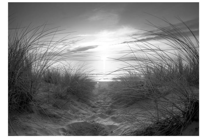 Valokuvatapetti Beach Black And White 100x70 - Artgeist sp. z o. o. - Sisustustuotteet - Seinäkoristeet - Tapetit - Valokuvatapetit