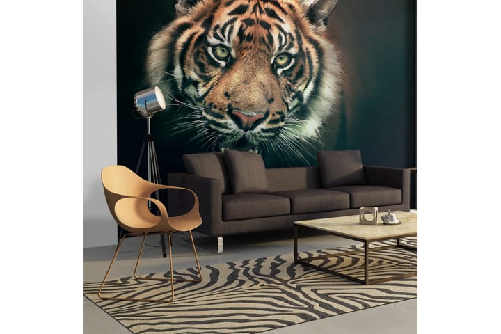 Valokuvatapetti Bengal Tiger 200x154 - Artgeist sp. z o. o. - Sisustustuotteet - Seinäkoristeet - Tapetit - Valokuvatapetit