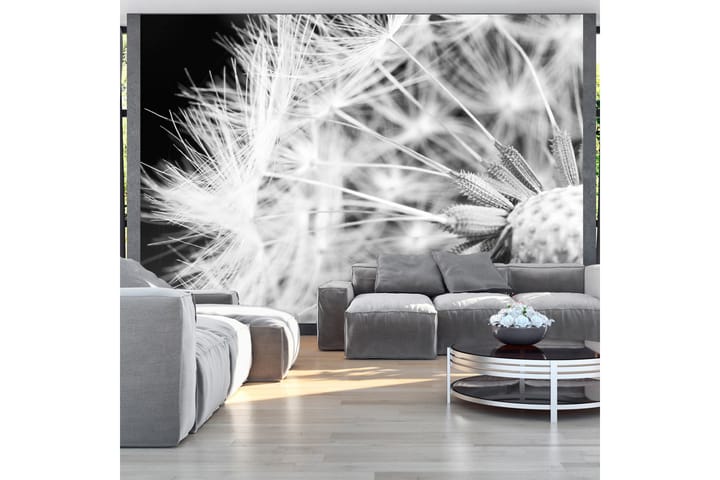 Valokuvatapetti Black And White Dandelion 250x175 - Artgeist sp. z o. o. - Sisustustuotteet - Seinäkoristeet - Tapetit - Valokuvatapetit