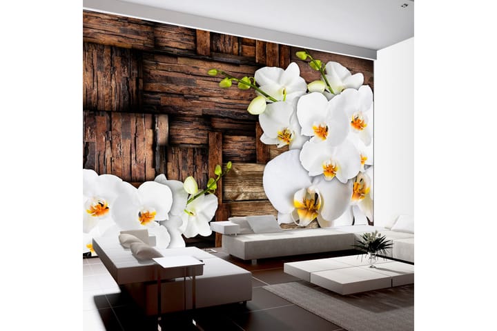 Valokuvatapetti Blooming Orchids 150x105 - Artgeist sp. z o. o. - Valokuvatapetit