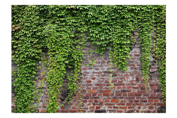 Valokuvatapetti Brick And Ivy 200x140 - Artgeist sp. z o. o. - Sisustustuotteet - Seinäkoristeet - Tapetit - Valokuvatapetit