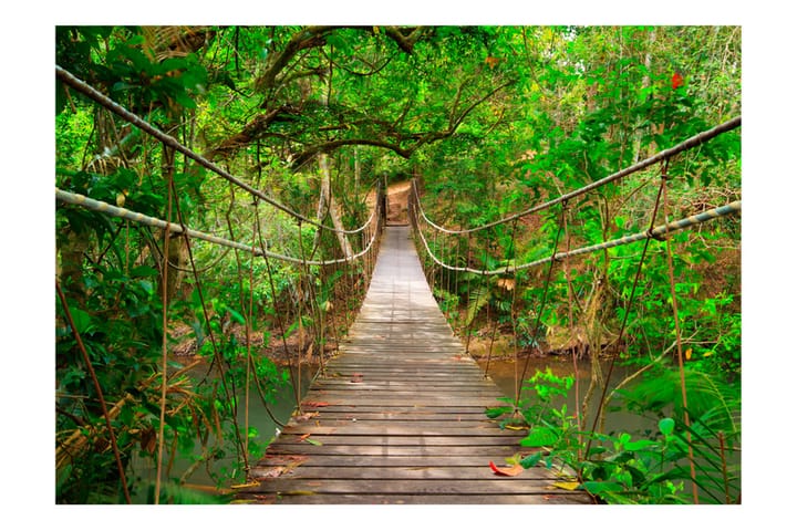 Valokuvatapetti Bridge Amid Greenery 100x70 - Artgeist sp. z o. o. - Sisustustuotteet - Seinäkoristeet - Tapetit - Valokuvatapetit