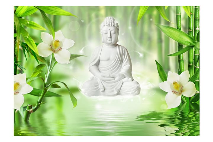 Valokuvatapetti Buddha And Nature 100x70 - Artgeist sp. z o. o. - Sisustustuotteet - Seinäkoristeet - Tapetit - Valokuvatapetit