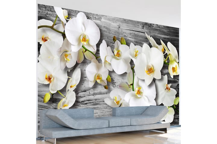 Valokuvatapetti Callous Orchids III 100x70 - Artgeist sp. z o. o. - Sisustustuotteet - Seinäkoristeet - Tapetit - Valokuvatapetit