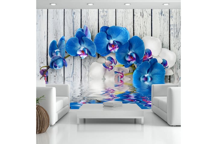 Valokuvatapetti Cobaltic Orchid 100x70 - Artgeist sp. z o. o. - Sisustustuotteet - Seinäkoristeet - Tapetit - Valokuvatapetit