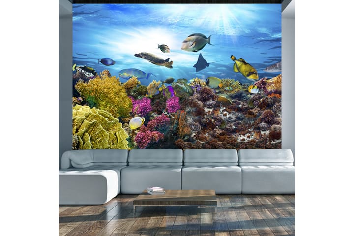 Valokuvatapetti Coral Reef 100x70 - Artgeist sp. z o. o. - Sisustustuotteet - Seinäkoristeet - Tapetit - Valokuvatapetit