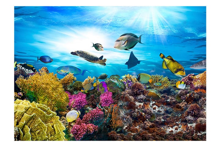 Valokuvatapetti Coral Reef 100x70 - Artgeist sp. z o. o. - Sisustustuotteet - Seinäkoristeet - Tapetit - Valokuvatapetit