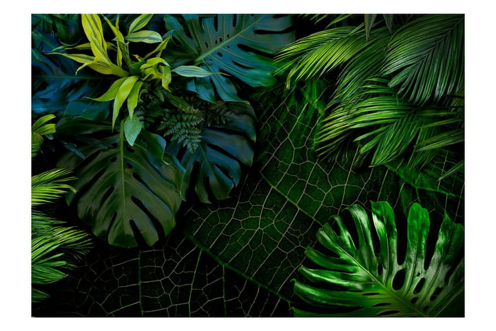 Valokuvatapetti Dark Jungle 300x210 - Artgeist sp. z o. o. - Sisustustuotteet - Seinäkoristeet - Tapetit - Valokuvatapetit