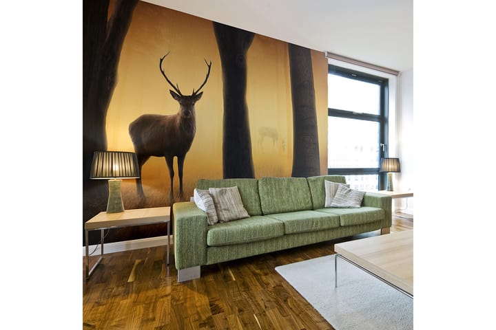 Valokuvatapetti Deer In His Natural Habitat 200x154 - Artgeist sp. z o. o. - Sisustustuotteet - Seinäkoristeet - Tapetit - Valokuvatapetit