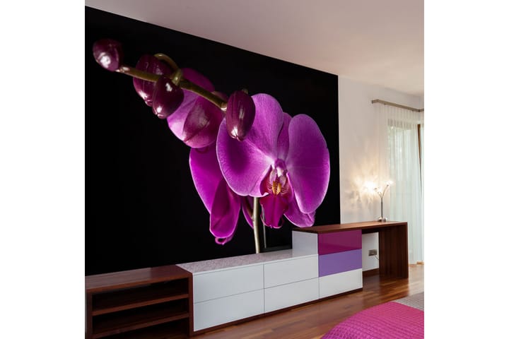 Valokuvatapetti Elegant Orchids 200x154 - Artgeist sp. z o. o. - Sisustustuotteet - Seinäkoristeet - Tapetit - Valokuvatapetit