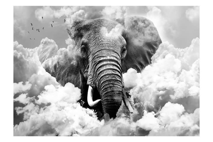 Valokuvatapetti Elephant Black And White 150x105 - Artgeist sp. z o. o. - Sisustustuotteet - Seinäkoristeet - Tapetit - Valokuvatapetit