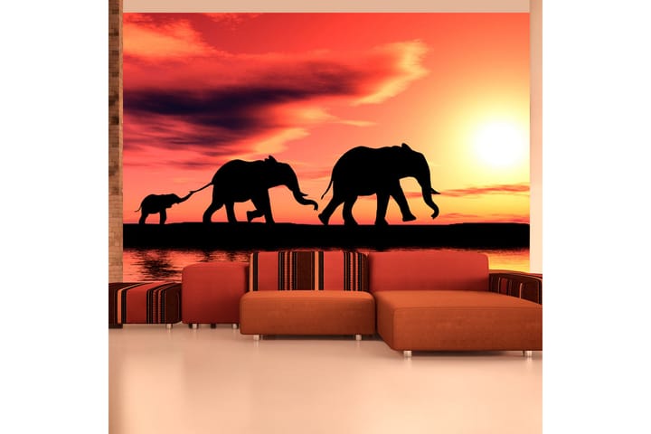 Valokuvatapetti Elephants Family 300x231 - Artgeist sp. z o. o. - Sisustustuotteet - Seinäkoristeet - Tapetit - Valokuvatapetit