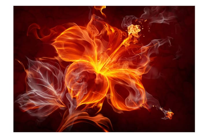 Valokuvatapetti Fiery Flower 150x105 - Artgeist sp. z o. o. - Sisustustuotteet - Seinäkoristeet - Tapetit - Valokuvatapetit