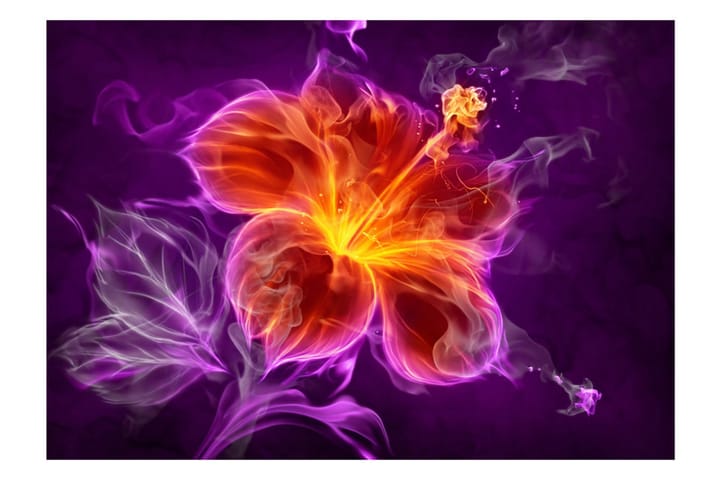 Valokuvatapetti Fiery Flower In Purple 250x175 - Artgeist sp. z o. o. - Sisustustuotteet - Seinäkoristeet - Tapetit - Valokuvatapetit