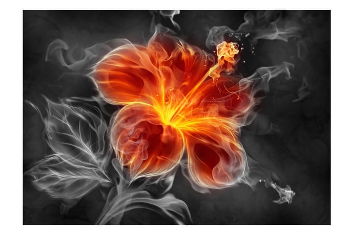 Valokuvatapetti Fiery Flower Inside The Smoke 150x105 - Artgeist sp. z o. o. - Sisustustuotteet - Seinäkoristeet - Tapetit - Valokuvatapetit