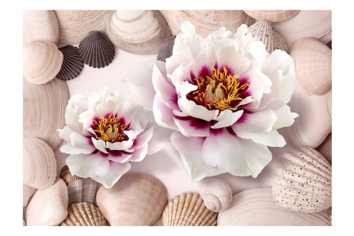 Valokuvatapetti Flowers And Shells 100x70 - Artgeist sp. z o. o. - Sisustustuotteet - Seinäkoristeet - Tapetit - Valokuvatapetit