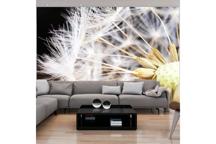 Valokuvatapetti Fluffy Dandelion 200x140 - Artgeist sp. z o. o. - Sisustustuotteet - Seinäkoristeet - Tapetit - Valokuvatapetit