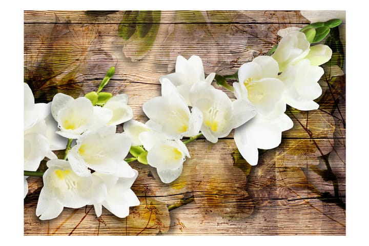 Valokuvatapetti Freesia On Wood 100x70 - Artgeist sp. z o. o. - Sisustustuotteet - Seinäkoristeet - Tapetit - Valokuvatapetit