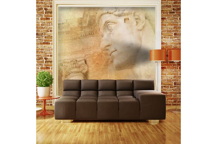 Valokuvatapetti Greek God 350x270 - Artgeist sp. z o. o. - Sisustustuotteet - Seinäkoristeet - Tapetit - Valokuvatapetit