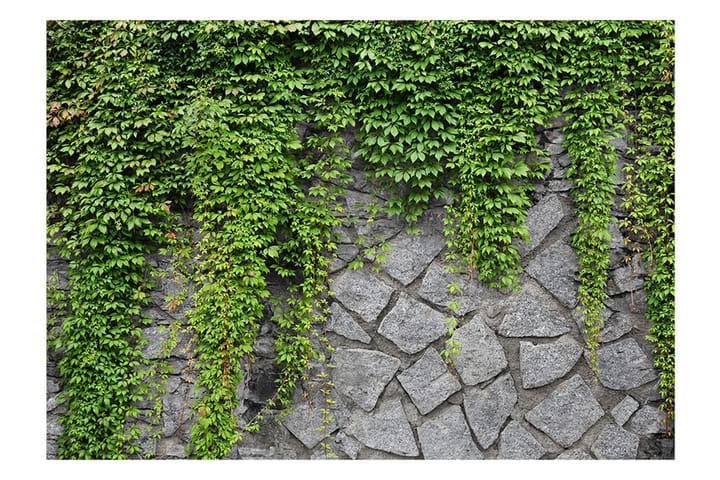 Valokuvatapetti Green Wall 100x70 - Artgeist sp. z o. o. - Sisustustuotteet - Seinäkoristeet - Tapetit - Valokuvatapetit