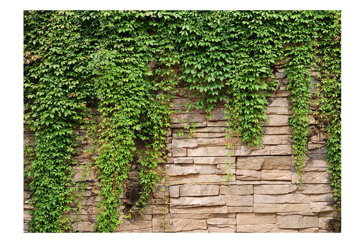 Valokuvatapetti Ivy Wall 100x70 - Artgeist sp. z o. o. - Sisustustuotteet - Seinäkoristeet - Tapetit - Valokuvatapetit