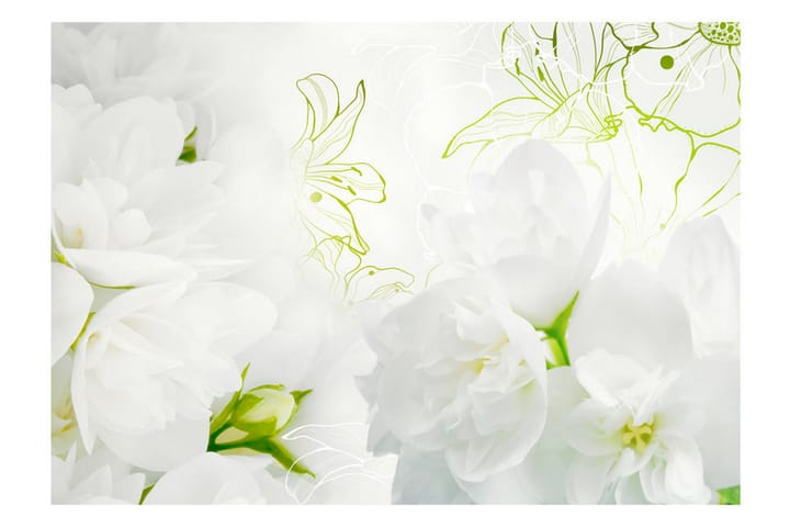 Valokuvatapetti Jasmine 400x280 - Artgeist sp. z o. o. - Sisustustuotteet - Seinäkoristeet - Tapetit - Valokuvatapetit