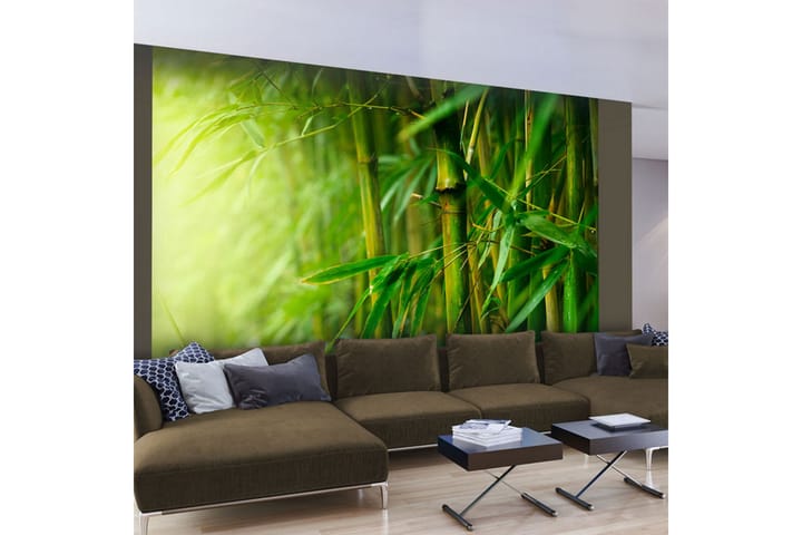 Valokuvatapetti Jungle Bamboo 200x154 - Artgeist sp. z o. o. - Sisustustuotteet - Seinäkoristeet - Tapetit - Valokuvatapetit