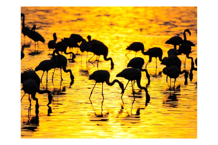 Valokuvatapetti Kenya Flamingos By Lake Nakuru 250x193 - Artgeist sp. z o. o. - Valokuvatapetit