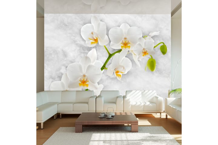 Valokuvatapetti Lyrical Orchid White 150x105 - Artgeist sp. z o. o. - Sisustustuotteet - Seinäkoristeet - Tapetit - Valokuvatapetit