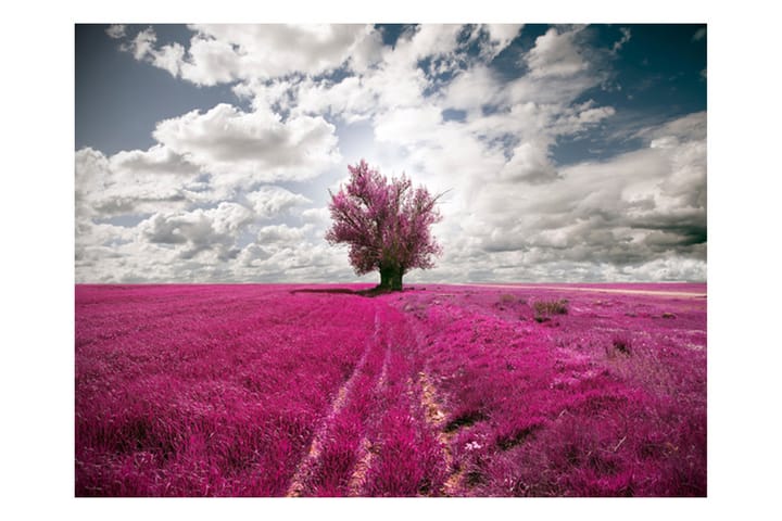 Valokuvatapetti Magenta Meadow 200x154 - Artgeist sp. z o. o. - Sisustustuotteet - Seinäkoristeet - Tapetit - Valokuvatapetit