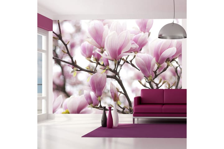 Valokuvatapetti Magnolia Bloosom 350x270 - Artgeist sp. z o. o. - Sisustustuotteet - Seinäkoristeet - Tapetit - Valokuvatapetit