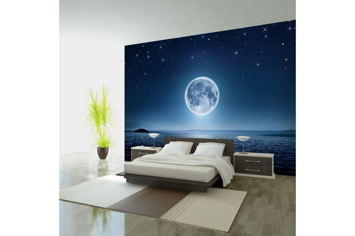 Valokuvatapetti Moonlit Night 100x70 - Artgeist sp. z o. o. - Sisustustuotteet - Seinäkoristeet - Tapetit - Valokuvatapetit