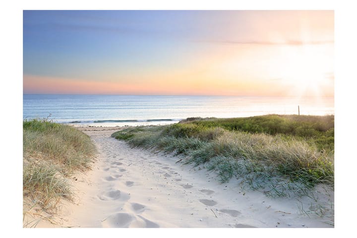 Valokuvatapetti Morning Walk On The Beach 200x140 - Artgeist sp. z o. o. - Sisustustuotteet - Seinäkoristeet - Tapetit - Valokuvatapetit