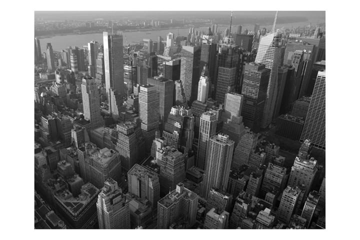 Valokuvatapetti New York Skyscrapersd Bird's Eye 400x309 - Artgeist sp. z o. o. - Sisustustuotteet - Seinäkoristeet - Tapetit - Valokuvatapetit