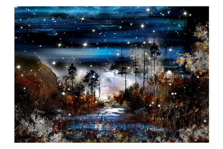 Valokuvatapetti Night In The Forest 150x105 - Artgeist sp. z o. o. - Sisustustuotteet - Seinäkoristeet - Tapetit - Valokuvatapetit