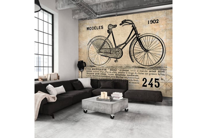 Valokuvatapetti Old School Bicycle 350x245 - Artgeist sp. z o. o. - Sisustustuotteet - Seinäkoristeet - Tapetit - Valokuvatapetit