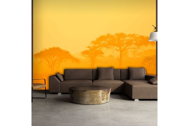 Valokuvatapetti Orange Savanna 200x154 - Artgeist sp. z o. o. - Sisustustuotteet - Seinäkoristeet - Tapetit - Valokuvatapetit