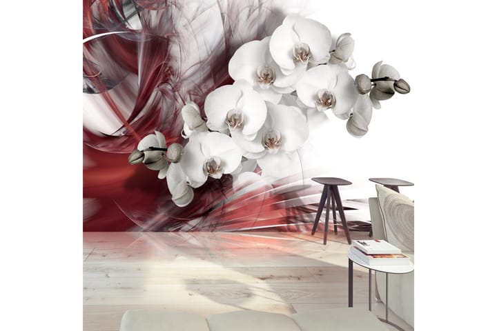 Valokuvatapetti Orchid In Red 100x70 - Artgeist sp. z o. o. - Sisustustuotteet - Seinäkoristeet - Tapetit - Valokuvatapetit