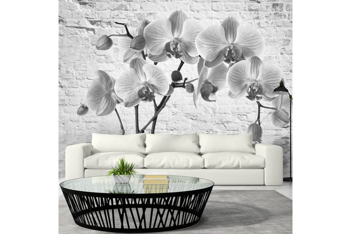 Valokuvatapetti Orchid In Shades Of Gray 100x70 - Artgeist sp. z o. o. - Sisustustuotteet - Seinäkoristeet - Tapetit - Valokuvatapetit