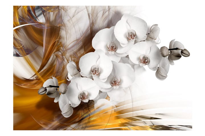 Valokuvatapetti Orchid On Fire 100x70 - Artgeist sp. z o. o. - Sisustustuotteet - Seinäkoristeet - Tapetit - Valokuvatapetit