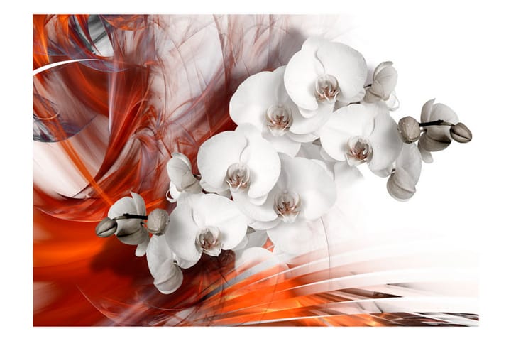 Valokuvatapetti Orchid On Fire II 100x70 - Artgeist sp. z o. o. - Sisustustuotteet - Seinäkoristeet - Tapetit - Valokuvatapetit