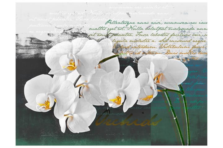 Valokuvatapetti Orchid Poet Inspiration 200x154 - Artgeist sp. z o. o. - Sisustustuotteet - Seinäkoristeet - Tapetit - Valokuvatapetit